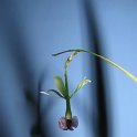 IMG_9467 - Copie